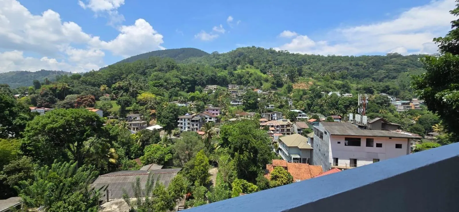 Kandy Grand Ocacia